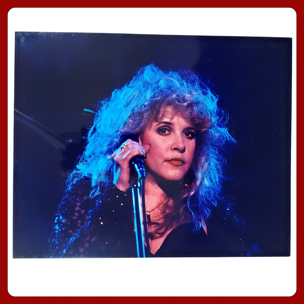 Stevie Nicks Fleetwood Mac Live Concert Photo S & M Rock Photograph 8x10 MAC 184
